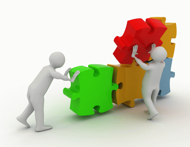 درباره گربه آنگورا چه می‌دانید؟ 19 نکته آموزشی