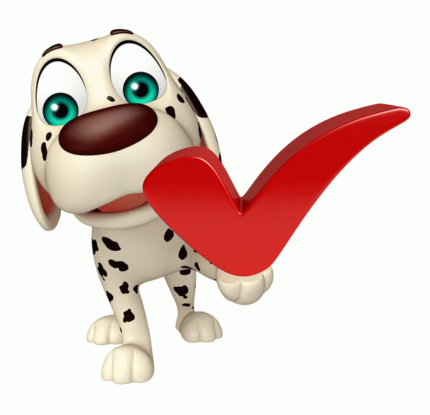 آیا گربه ها بی وفا هستند؟ 19 نکته درباره رفتار گربه ها